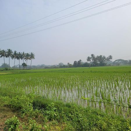 Tanjore Home Stay Thanjavur Ngoại thất bức ảnh