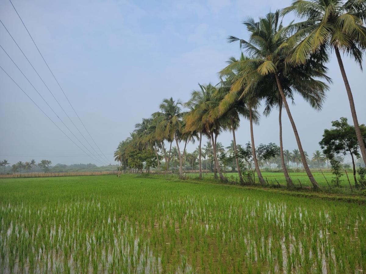 Tanjore Home Stay Thanjavur Ngoại thất bức ảnh