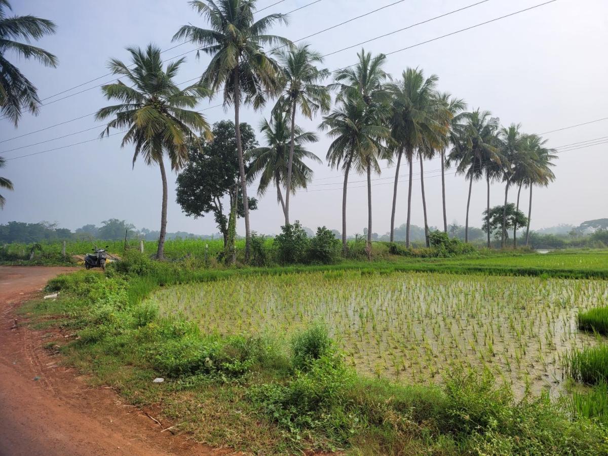 Tanjore Home Stay Thanjavur Ngoại thất bức ảnh