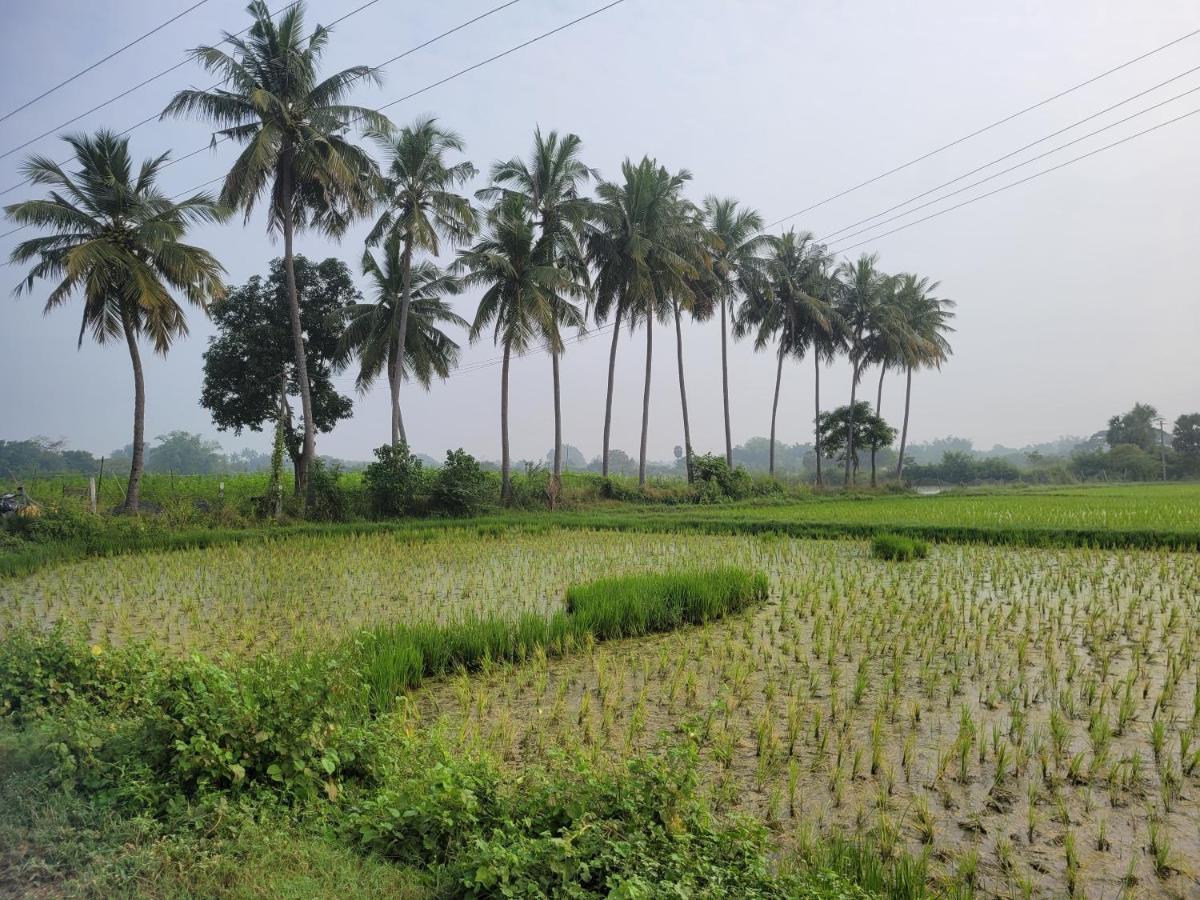 Tanjore Home Stay Thanjavur Ngoại thất bức ảnh